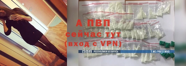 эйфоретик Баксан