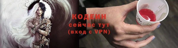 эйфоретик Баксан