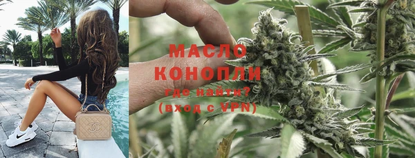 индика Балабаново