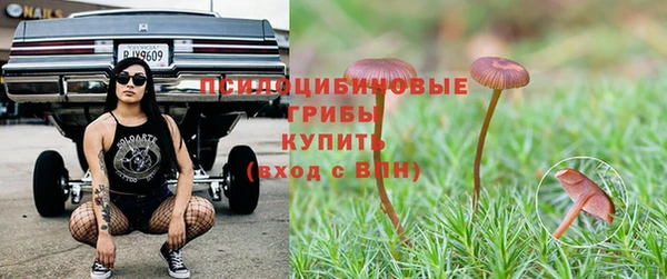 гидропоника Арсеньев