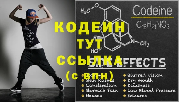 эйфоретик Баксан