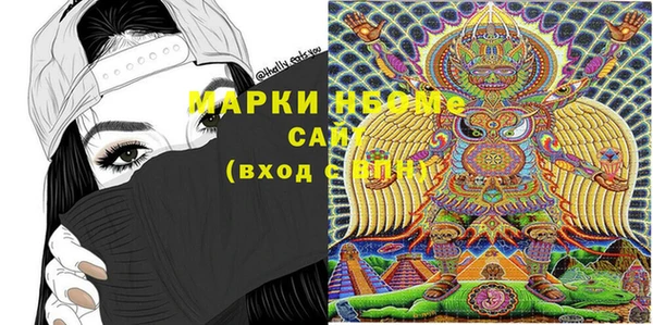 индика Балабаново