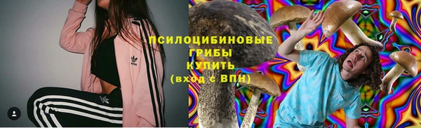 эйфоретик Баксан